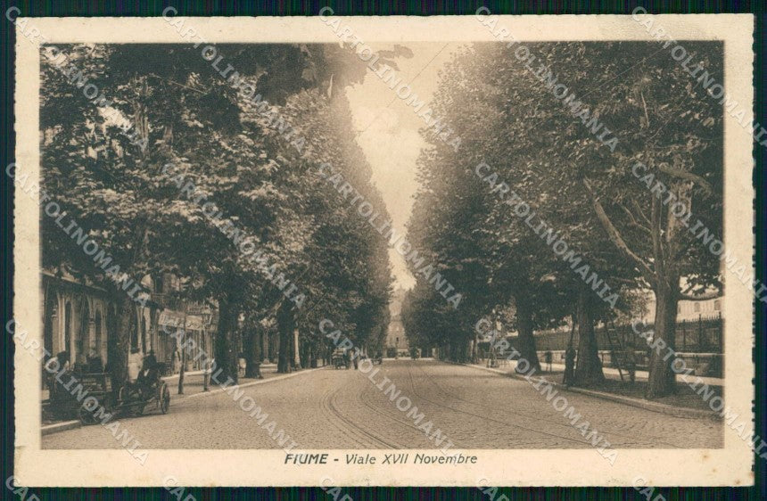 Croazia Croatia Fiume Rijeka Viale XVII Novembre cartolina RT6302 – fronte