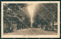 Croazia Croatia Fiume Rijeka Viale XVII Novembre cartolina RT6302 – fronte