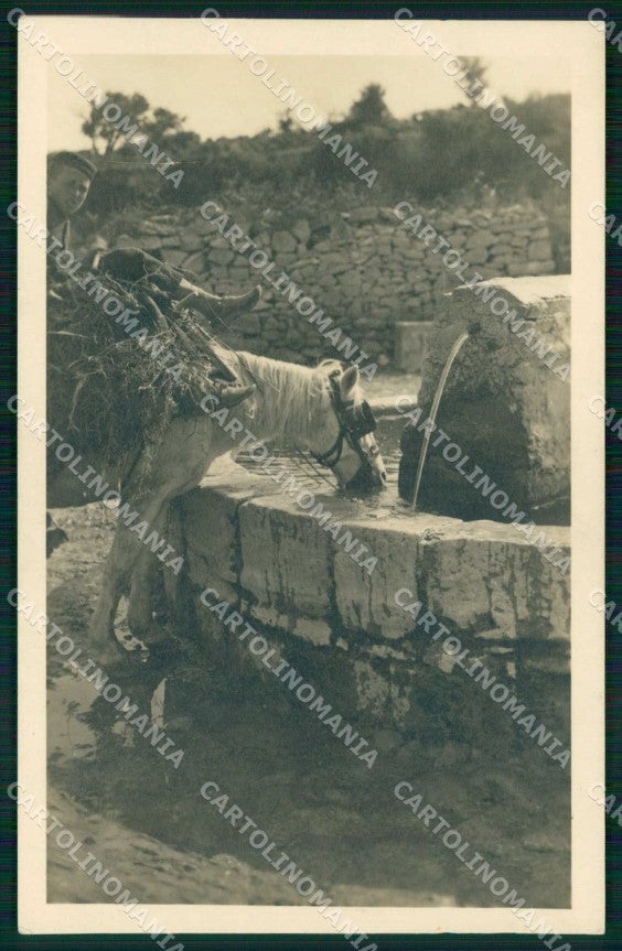 Croazia Croatia Spalato Split Strada per Salona Foto cartolina RT6514 – fronte