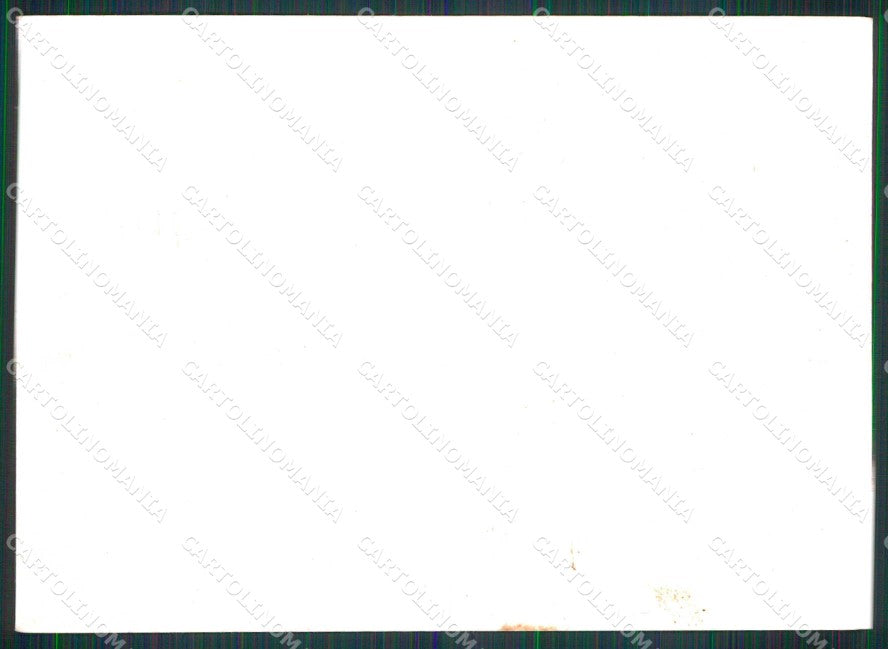 Croazia Croatia Lussinpiccolo Mali Losinj Cigale FG cartolina RT6610 – retro