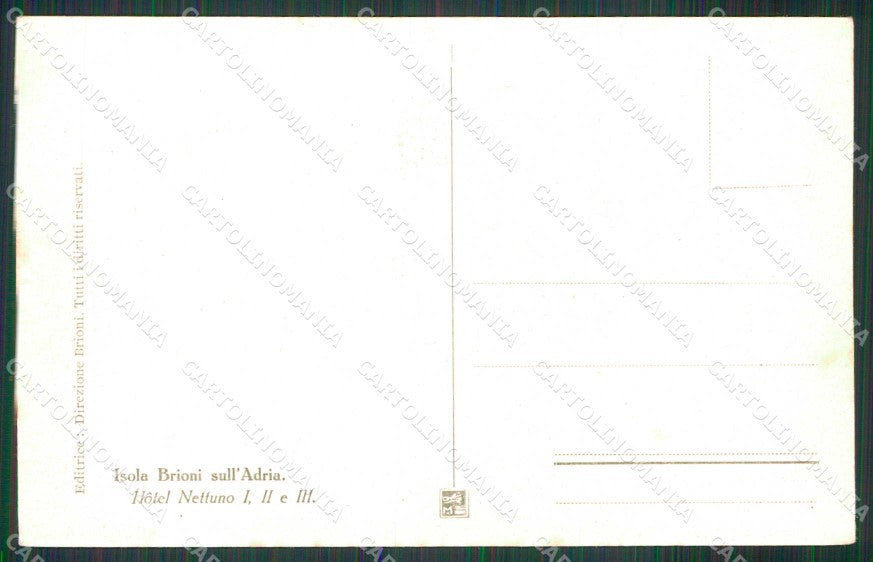 Croazia Croatia Brioni Brijuni Hotel Nettuno cartolina RT6659 – retro
