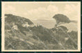 Croazia Croatia Arbe Rab cartolina RT6932 – fronte