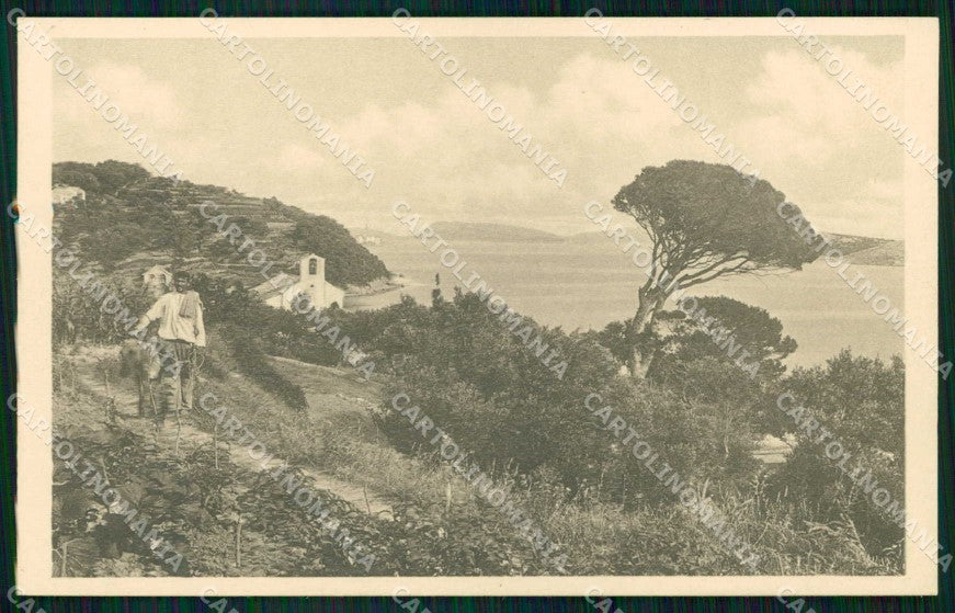 Croazia Croatia Arbe Rab cartolina RT6932 – fronte