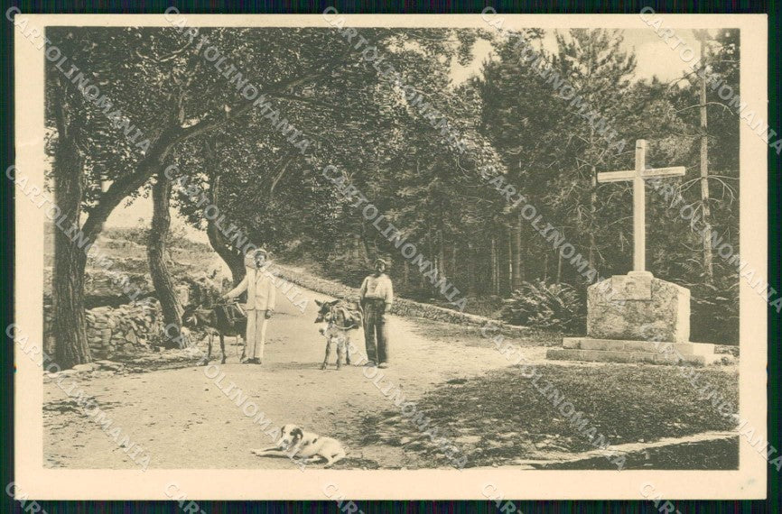 Slovenia Slovenija Monte Cocusso Kokos Croce Parco ABRASA cartolina RT7054 – fronte