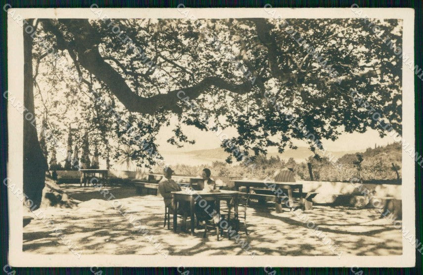 Croazia Croatia Cannosa Trsteno Giardino Foto cartolina RT7106 – fronte