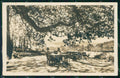Croazia Croatia Cannosa Trsteno Giardino Foto cartolina RT7106 – fronte