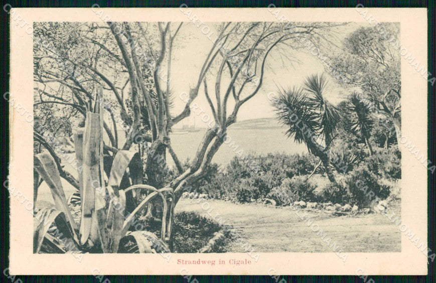 Croazia Croatia Lussinpiccolo Mali Losinj Lungomare Cigale cartolina RT7127 – fronte