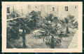 Croazia Croatia Lussinpiccolo Mali Losinj Giardino con Palme cartolina RT7129 – fronte