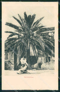 Croazia Croatia Lussinpiccolo Mali Losinj Palme Datteri cartolina RT7132 – fronte