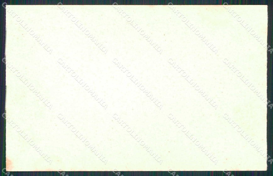 Croazia Croatia Lussinpiccolo Mali Losinj Palme Datteri cartolina RT7132 – retro