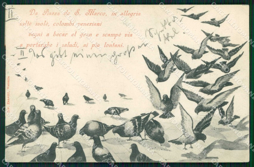 Venezia Città Piazza San Marco Piccioni Poesia cartolina RT7307 – fronte