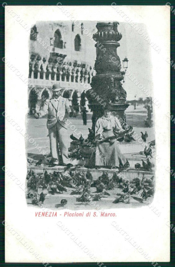 Venezia Città Piazza San Marco Piccioni Foto cartolina RT7335 – fronte
