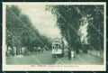 Venezia Città Lido di Viale Santa Maria Elisabetta Tram cartolina RT8283 – fronte