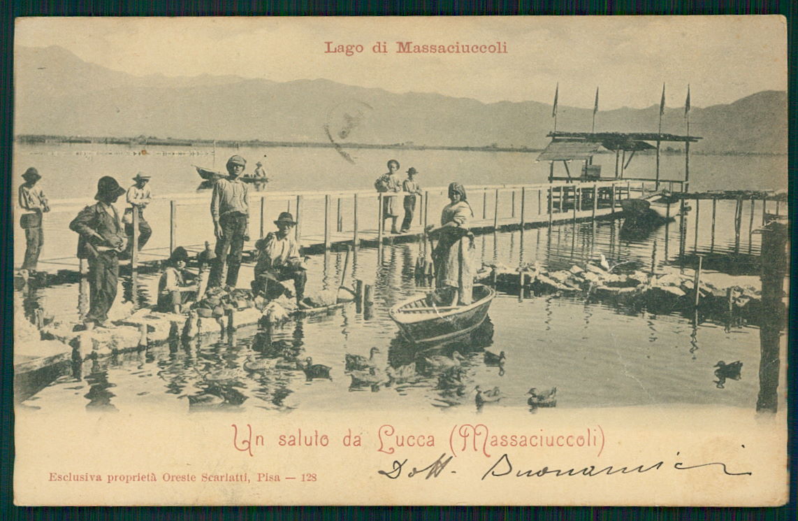 Lucca Lago di Massaciuccoli FORI cartolina TC0023 – fronte