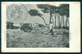 Livorno Cecina reggimento artiglieria ABRASA cartolina TC0043 – fronte