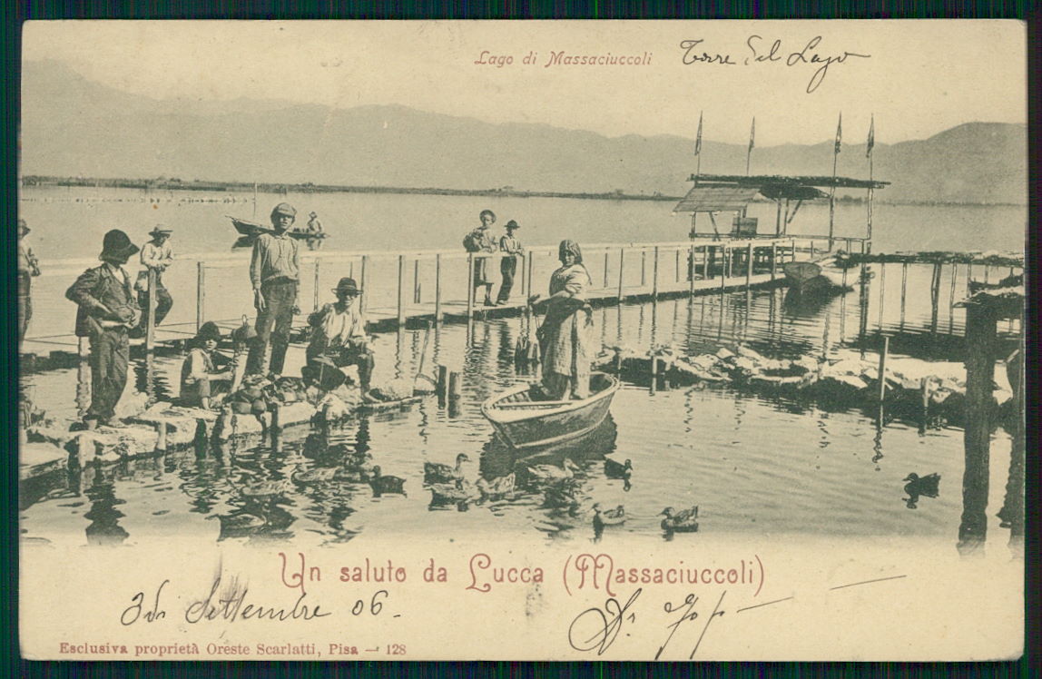 Lucca lago di Massaciuccoli cartolina TC0244 – fronte