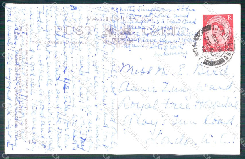 Mabel Lucie Attwell Valentine serie 1499 cartolina vintage postcard TC0391 – retro