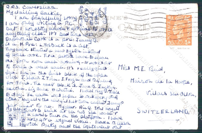 Mabel Lucie Attwell serie 874 PIEGHINE SLIGHT CREASES cartolina postcard TC0584 – retro