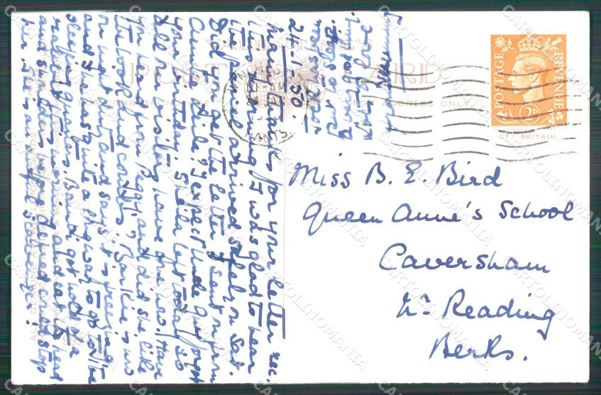 Mabel Lucie Attwell serie 999 PIEGHINA SLIGHT CREASE ABRASA postcard TC0670 – retro