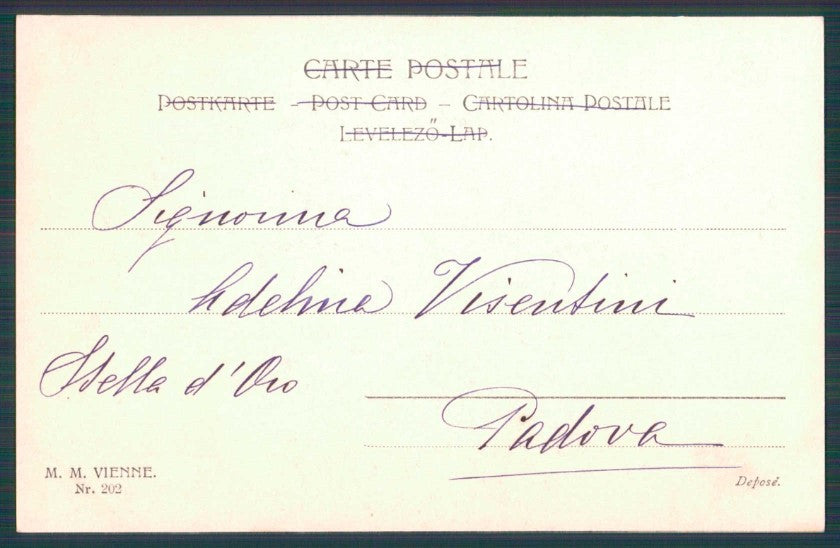 Artist Signed Viennoise Girl MM Vienne serie 202 cartolina TC1489 – retro