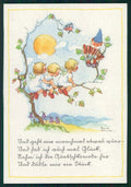 Artist Signed Fairy Gnome Liesel Lauterborn postcard TC2560 – fronte