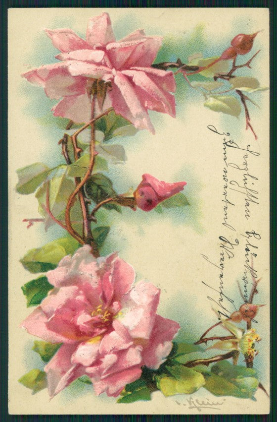 Artist Signed Catherine Klein Alphabet Letters E postcard TC2695 – fronte
