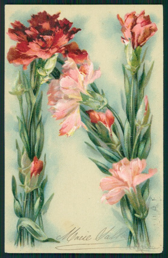 Artist Signed Catherine Klein Alphabet Letters N postcard TC2697 – fronte