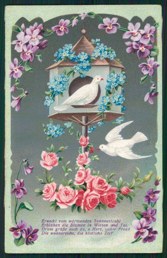 Artist Signed Relief Viola Violet Dovecote serie 171 postcard TC2701 – fronte
