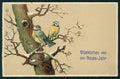 Birds Winter Landscape Best Wishes Titmouse Cincia Relief postcard TC2758 – fronte