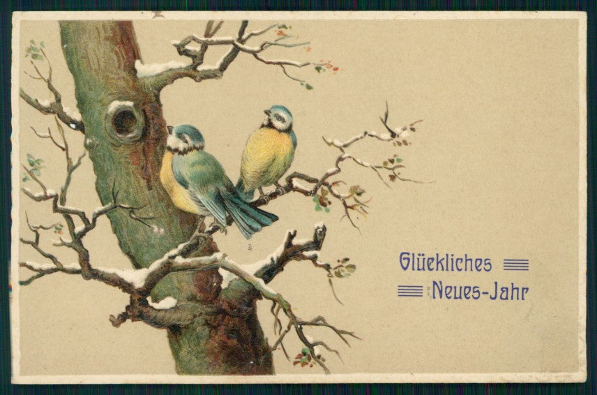 Birds Winter Landscape Best Wishes Titmouse Cincia Relief postcard TC2758 – fronte