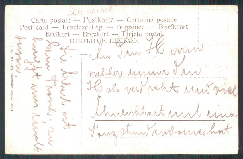 Artist Signed Schoman Gnome Zwerge Dwarf Frog Dragonfly 542 postcard TC2810 – retro