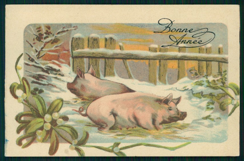 Pig Schwein Mistletoe New Year Best Wishes postcard TC2872 – fronte