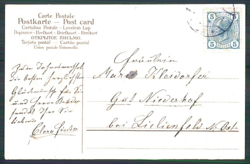Pig Schwein Horseshoe Relief postcard TC2875 – retro