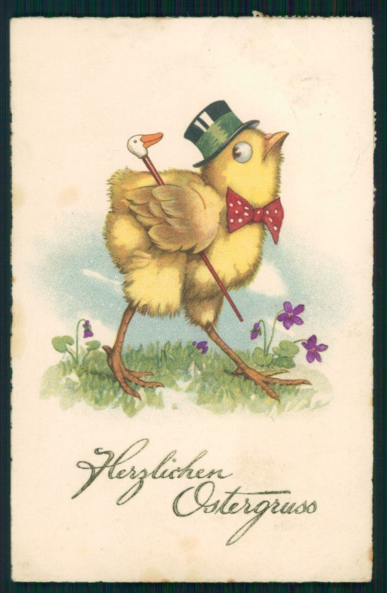 F. Baumgarten ? Happy Easter Dressed Chick Purple Violets postcard TC2888 – fronte