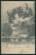 Cat and Bee serie 5282 postcard TC3138 – fronte