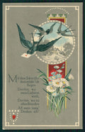 Rondini Swallows Birds Schwalben Mail serie 3140-4 postcard TC3403 – fronte