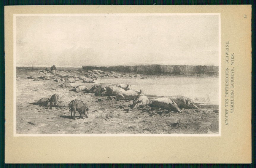 Artist Signed A. Von Pettenkofen Pigs Wien serie 48 postcard TC3404 – fronte