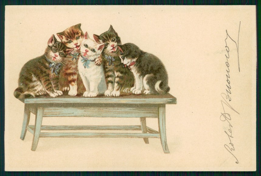 Gatto Cat Katze Monkey Kopal serie 303 postcard TC3430 – fronte
