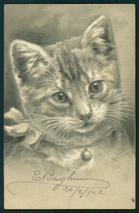 Gatto Cat Katze Relief serie 3969 postcard TC3440 – fronte