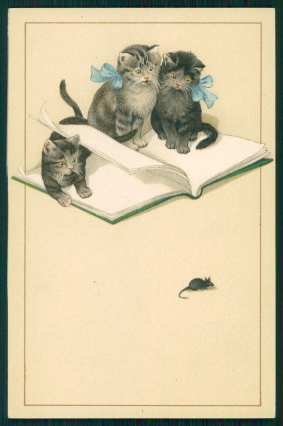 Gatto Cat Katze Dondorf serie 309 postcard TC3449 – fronte