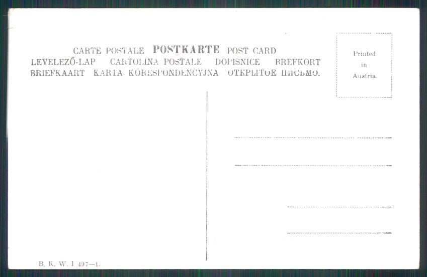 Artist Signed R. Pick Dressed Monkey Dog B K W I serie 497-1 postcard TC3462 – retro