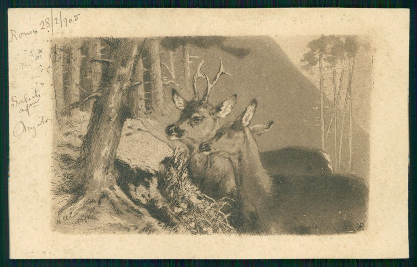 Artist Signed Deer postcard TC3468 – fronte