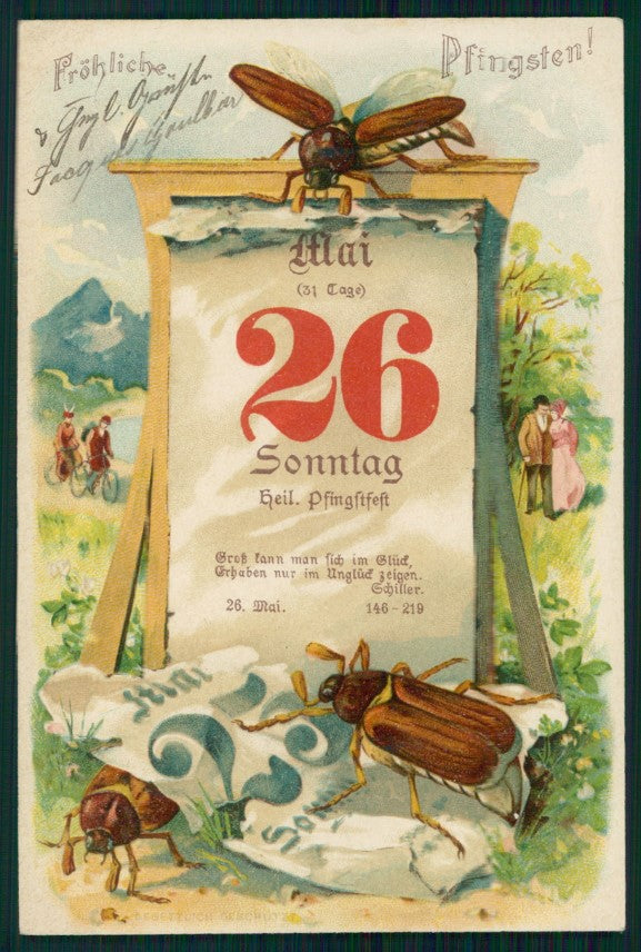 Pentecoste Pfingsten Insects Beetles postcard TC3599 – fronte