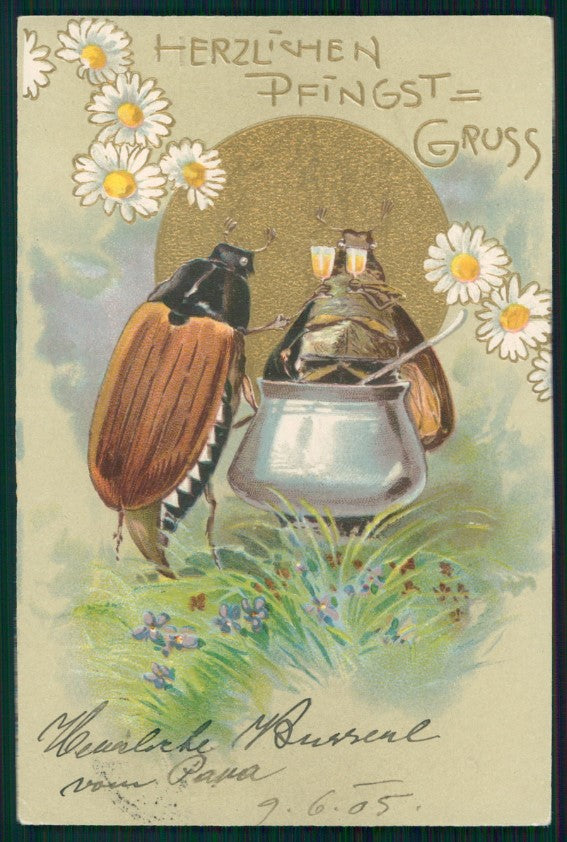 Pentecoste Pfingsten Insects Beetles PFB 3238 postcard TC3602 – fronte