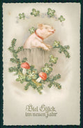 Pig Four Leaf Clover Mushroom postcard TC3611 – fronte