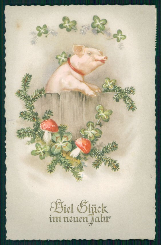 Pig Four Leaf Clover Mushroom postcard TC3611 – fronte