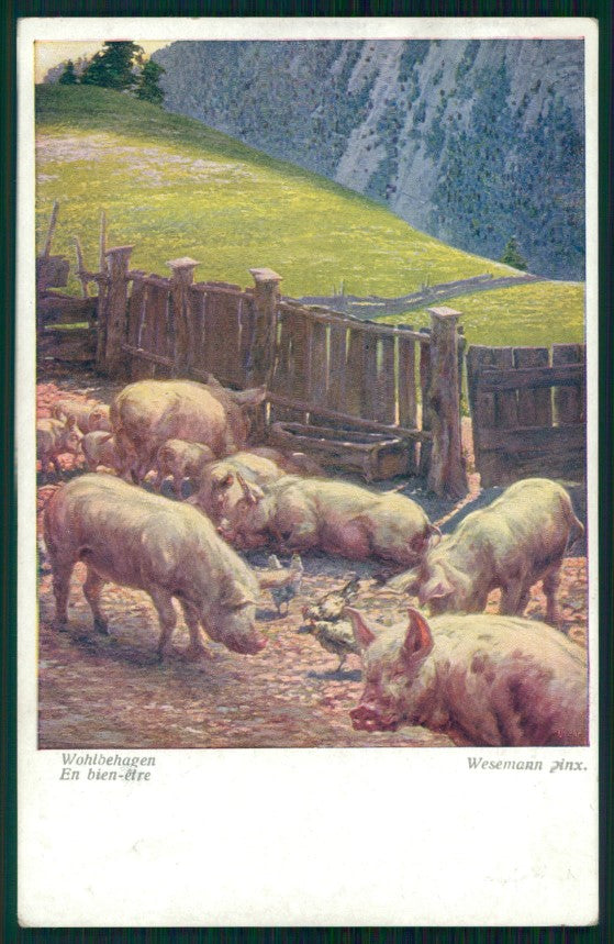 Maialino Pig Wesemann B K W I serie 1650 postcard TC3612 – fronte