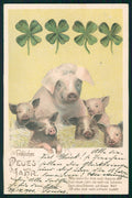 Art Nouveau New Year Maialino Pig Four Leaf Clover 9272 postcard TC3614 – fronte