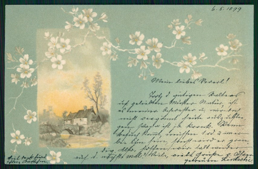 Spring Landscape Flowerspostcard TC3637 – fronte