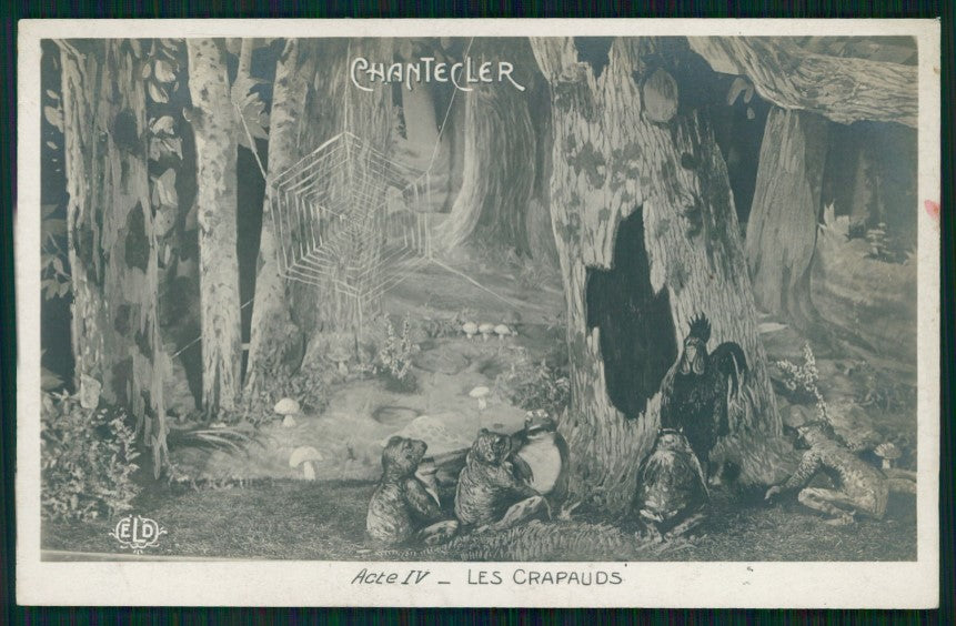 Rana Frog Frosch Chantecler Les Crapauds ELD postcard TC3648 – fronte